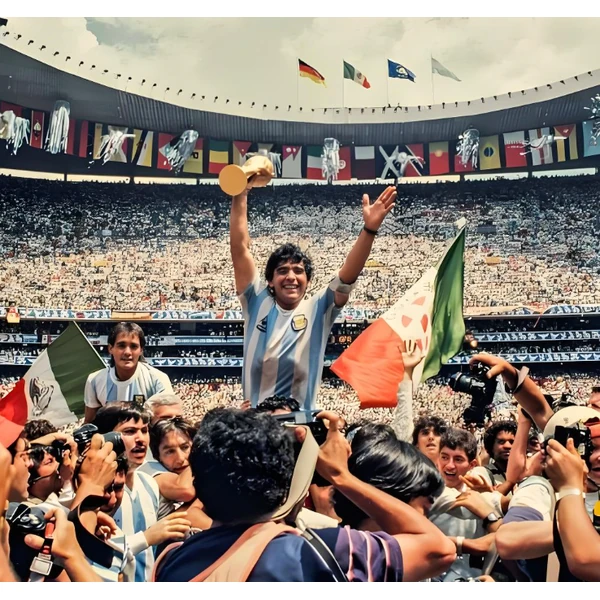 6686体育官网 APP